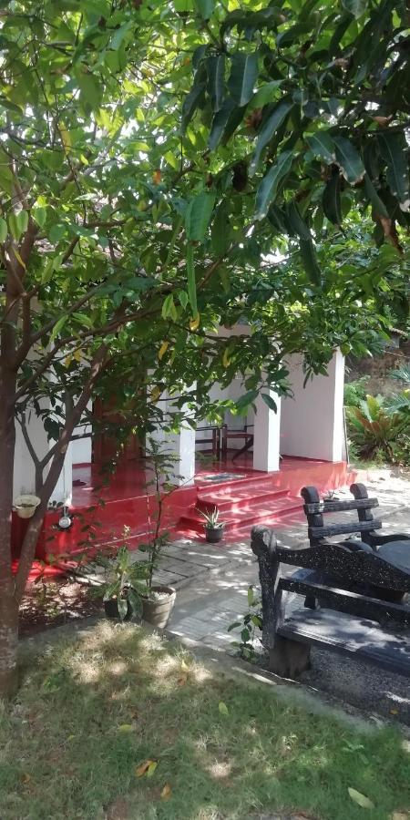 Homestay Ami Place With Kitchen *