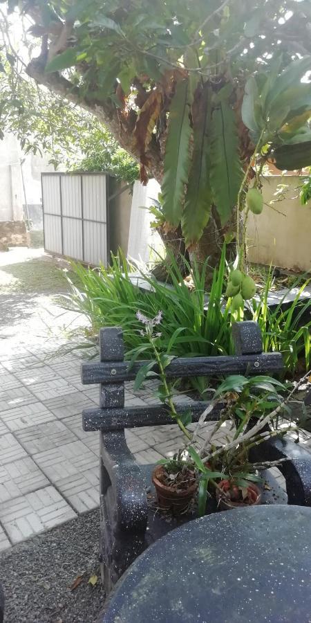 Ami Place With Kitchen Homestay *